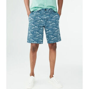 Aéropostale Men's Size 28 Wave Print Chino Shorts Blue Casual Spring‎ Summer